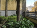 San_Cristobal_de_la_Laguna - Bild 120
