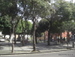 San_Cristobal_de_la_Laguna - Bild 142