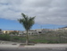 Adeje - Bild 2