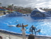 Aqualand - Bild 52