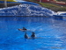 Aqualand - Bild 62