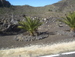 Arguayo - Bild 1