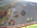 Costa_Adeje - Bild 17