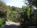 Jungle_Park - Bild 106