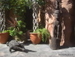 Jungle_Park - Bild 10