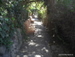 Jungle_Park - Bild 112
