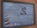 Jungle_Park - Bild 12
