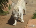 Jungle_Park - Bild 19