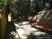 Jungle_Park - Bild 1