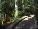 Jungle_Park - Bild 22