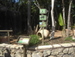 Jungle_Park - Bild 25