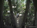 Jungle_Park - Bild 28