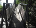 Jungle_Park - Bild 29