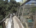 Jungle_Park - Bild 30