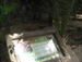 Jungle_Park - Bild 36
