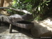Jungle_Park - Bild 37