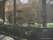 Jungle_Park - Bild 39