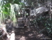 Jungle_Park - Bild 50