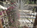 Jungle_Park - Bild 55