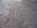 Jungle_Park - Bild 62