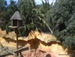 Jungle_Park - Bild 67