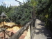 Jungle_Park - Bild 69