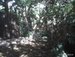 Jungle_Park - Bild 72