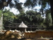 Jungle_Park - Bild 73