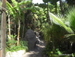 Jungle_Park - Bild 76