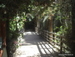 Jungle_Park - Bild 77