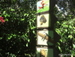 Jungle_Park - Bild 79