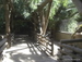 Jungle_Park - Bild 80
