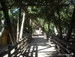Jungle_Park - Bild 84