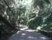 Jungle_Park - Bild 86