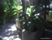 Jungle_Park - Bild 87