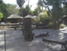Jungle_Park - Bild 95