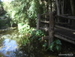 Jungle_Park - Bild 96