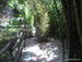 Jungle_Park - Bild 97