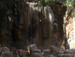 Jungle_Park - Bild 98
