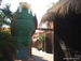 Jungle_Park - Bild 9