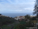 Los_Realejos - Bild 13