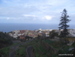 Los_Realejos - Bild 18
