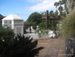 Playa_de_las_Americas - Bild 11