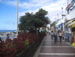Playa_de_las_Americas - Bild 3
