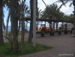 Playa_de_las_Americas - Bild 56