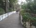 Playa_de_las_Americas - Bild 5