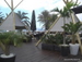 Playa_de_las_Americas - Bild 62