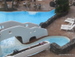 Playa_de_las_Americas - Bild 8