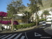 Puerto_de_Santiago - Bild 16