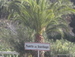 Puerto_de_Santiago - Bild 2